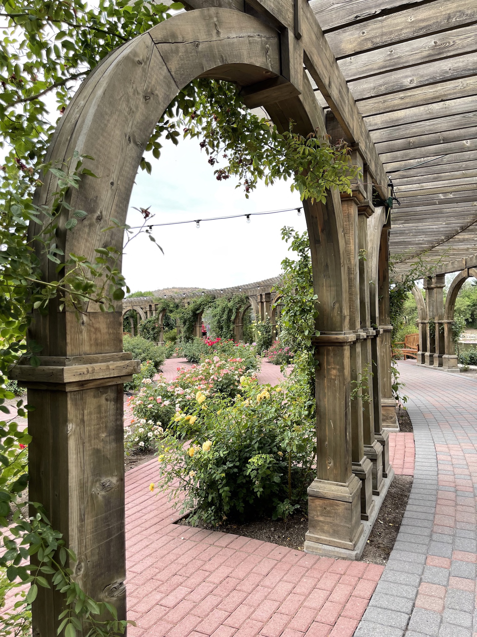 Thanksgiving Point Tulip Festival 2024 Map Klara Michell